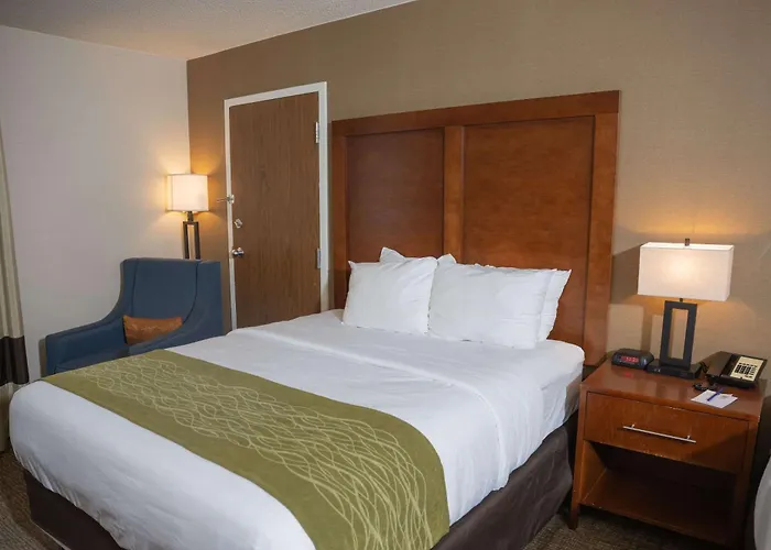 Comfort Inn & Suites