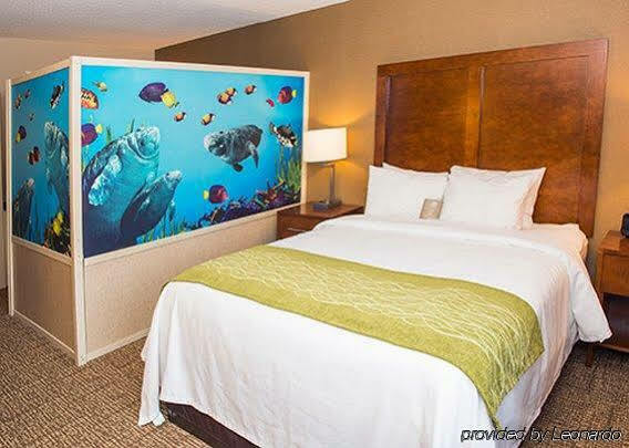 Comfort & Hotel